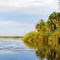 BWA NW OkavangoDelta 2016DEC01 Nguma 043 : 2016, 2016 - African Adventures, Africa, Botswana, Date, December, Month, Ngamiland, Nguma, Northwest, Okavango Delta, Places, Southern, Trips, Year